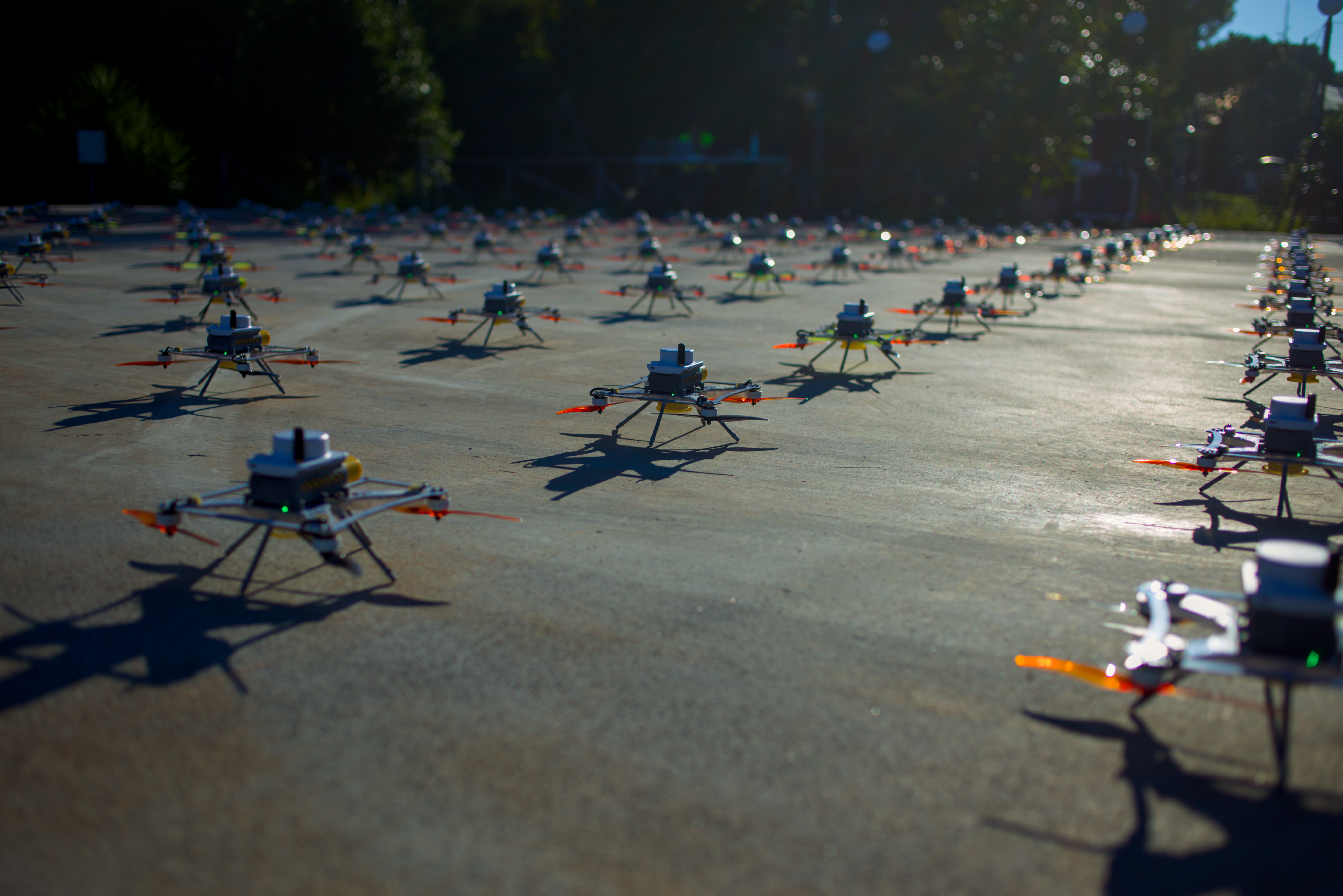 LuminousBee fleet in golden hour light