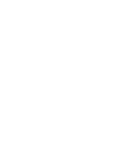 CIMA Foundation logo