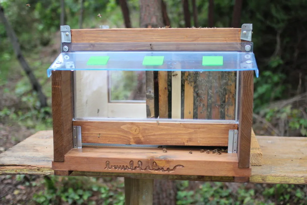 Transparent research beehive exterior